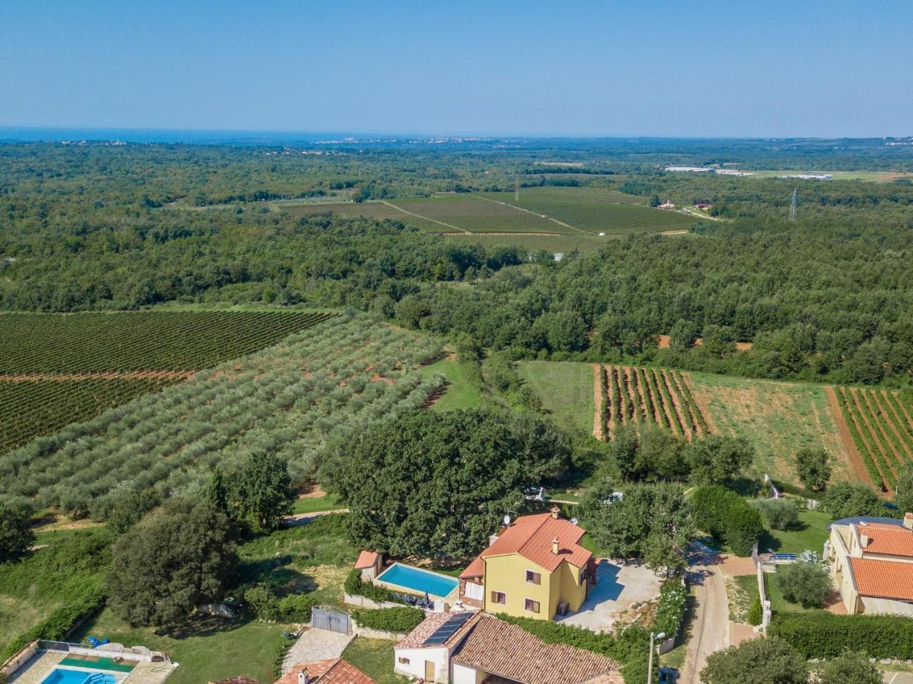 Villa Hrast Bacva Visnjan Exterior photo